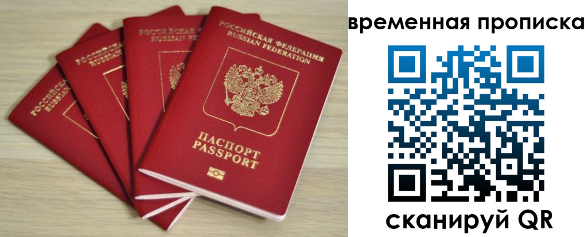прописка для школы в Электроуглях